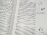 Puppen und spielzeug aus zelluloid　（セルロイドの人形とおもちゃ）ドイツ語版
