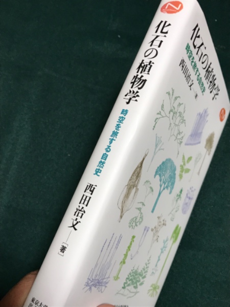 化石の植物学: 時空を旅する自然史 (Natural History Series