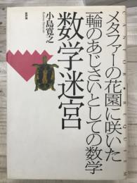 数学迷宮　メタファーの花園に咲いた一輪のあじさいとしての数学