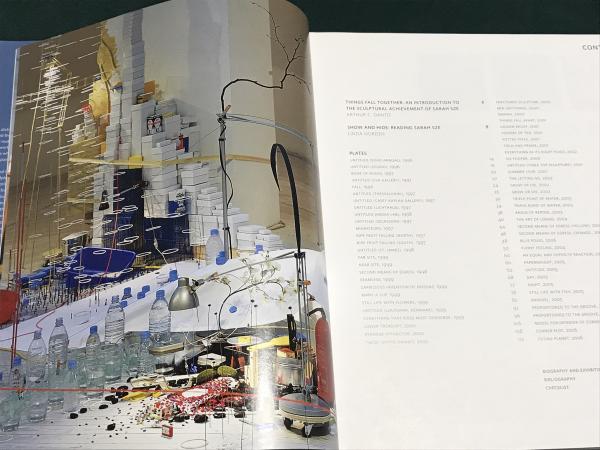 Sarah Sze (サラ・ジー)(Linda Norden (著), Arthur C. Danto (著