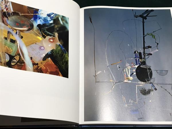 SARAH SZE 洋古書 サラ・ジー SARAH SZE 洋古書 作品集 サラ・ジー PAINTINGS：サラ・ジー | OIL