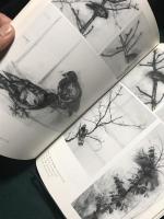 四方田草炎デッサン集　永遠の画学生 　双書美術の泉 81