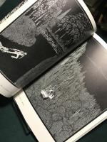 エドガー・A・ポウと世紀末のイラストレーション 双書美術の泉 66