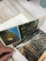 武蔵野の散歩みち　山渓文庫32