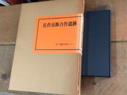 佐倉市飯合作遺跡