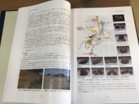 佐倉市史　考古編　本編 + 資料編 （DVDあり）