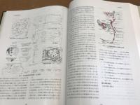 佐倉市史　考古編　本編 + 資料編 （DVDあり）