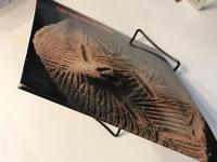 佐倉考古展 旧石器から弥生まで
