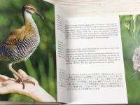 チャモロのイロハ　写真で巡るマリアナ諸島の文化