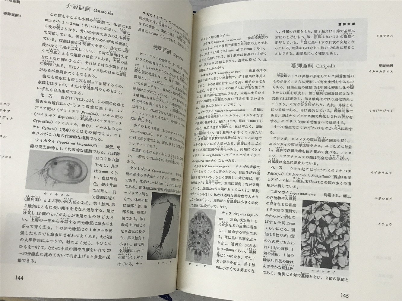 う02-020 標準原色図鑰全集 10 植物 II国立科学博物館 大井次