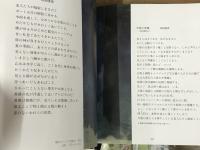 陽光のように　池田満寿夫自選画集　八人の詩人によるオマージュ