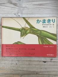 かまきり　おおかまきりの一生