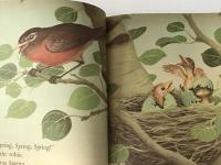 HOME FOR A BUNNY / A LITTLE GOLDEN BOOK