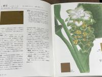 草木染染色歳時記