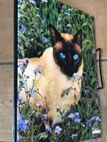 Cats　Color Nature Library　英語版