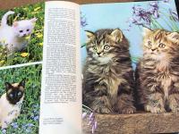 Cats　Color Nature Library　英語版