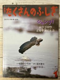 月刊たくさんのふしぎ
ジャンプ！ムツゴロウどろ干潟にとぶ