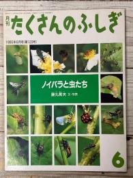 月刊たくさんのふしぎ
ノイバラと虫たち