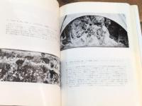 絵画と社会　美術名著選書 5