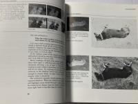 Black and White Photography  A Basic Manual　SECOND EDITION,REVISED