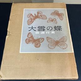 大雪の蝶