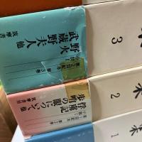 大岡昇平全集　全23巻＋別巻　全24巻揃い