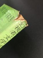 幻視者の文学