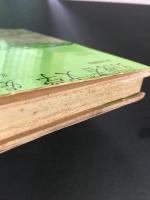 幻視者の文学