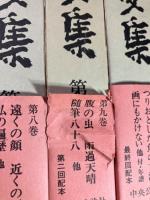 中川一政全文集　全10巻セット（月報揃い）