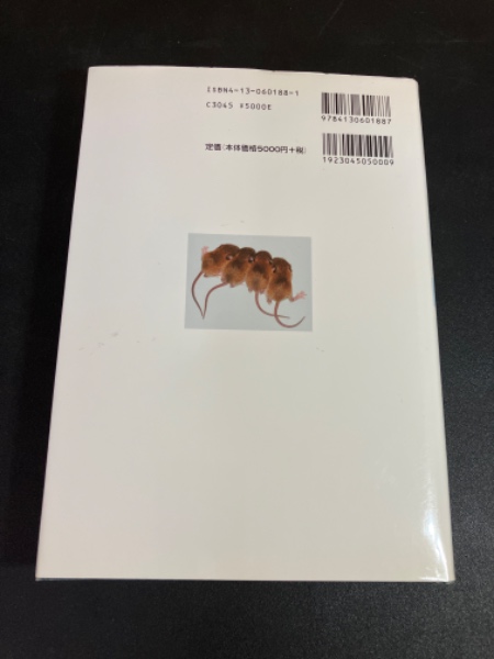 ネズミの分類学 : 生物地理学の視点(金子之史 著) / 古本、中古
