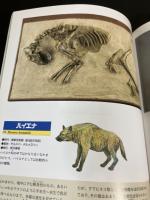 絶滅した大哺乳類たち  特別展