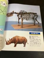 絶滅した大哺乳類たち  特別展
