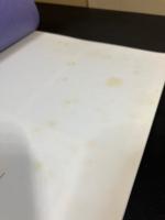 鴎外をめぐる百枚の葉書