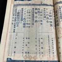 『探偵小説 新趣味 』