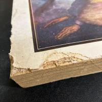 『探偵小説 新趣味 』