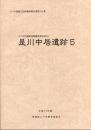是川中居遺跡