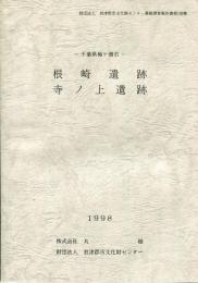 根崎遺跡・寺ノ上遺跡