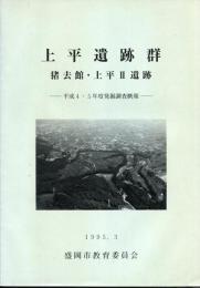 上平遺跡群 : 発掘調査概報