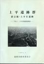 上平遺跡群 : 発掘調査概報