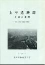 上平遺跡群 : 発掘調査概報