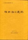 根井沼 (3) 遺跡