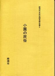 綾瀬市史民俗調査報告書