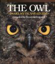 THE　OWL　IN　ART、MYTH、AND　LEGEND
