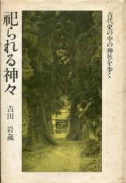 祀られる神々 : 古代史の中の神社を歩く