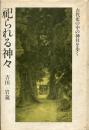 祀られる神々 : 古代史の中の神社を歩く