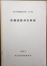 膳棚遺跡調査概報
