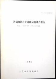 丹陽町池之上遺跡発掘調査報告