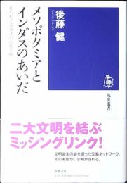メソポタミアとインダスのあいだ