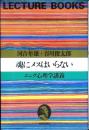 魂にメスはいらない : ユング心理学講義
