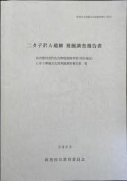 二タ子沢A遺跡発掘調査報告書